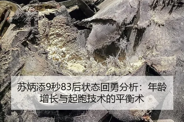 su-bing-tian-miao-hou-zhuang-tai-hui-yong-fen-xi-nian-ling-zeng-zhang-yu-qi-pao-ji-shu-de-ping-heng-shu-2-513.jpg